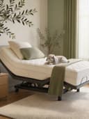 Latex Mattress — reclined on an adjustable base with a bunny
